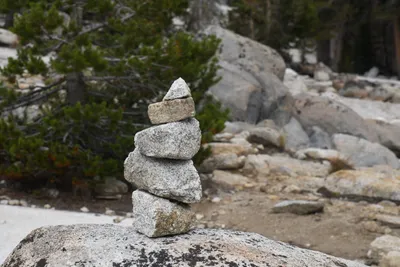 DSC_4468 (Large).JPG